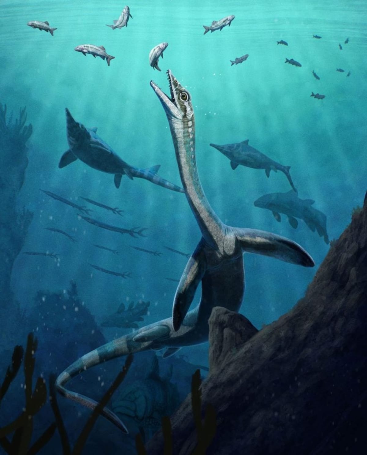 Artistic reconstruction of long-necked marine reptile Austronaga minuta swimming in prehistoric ocean