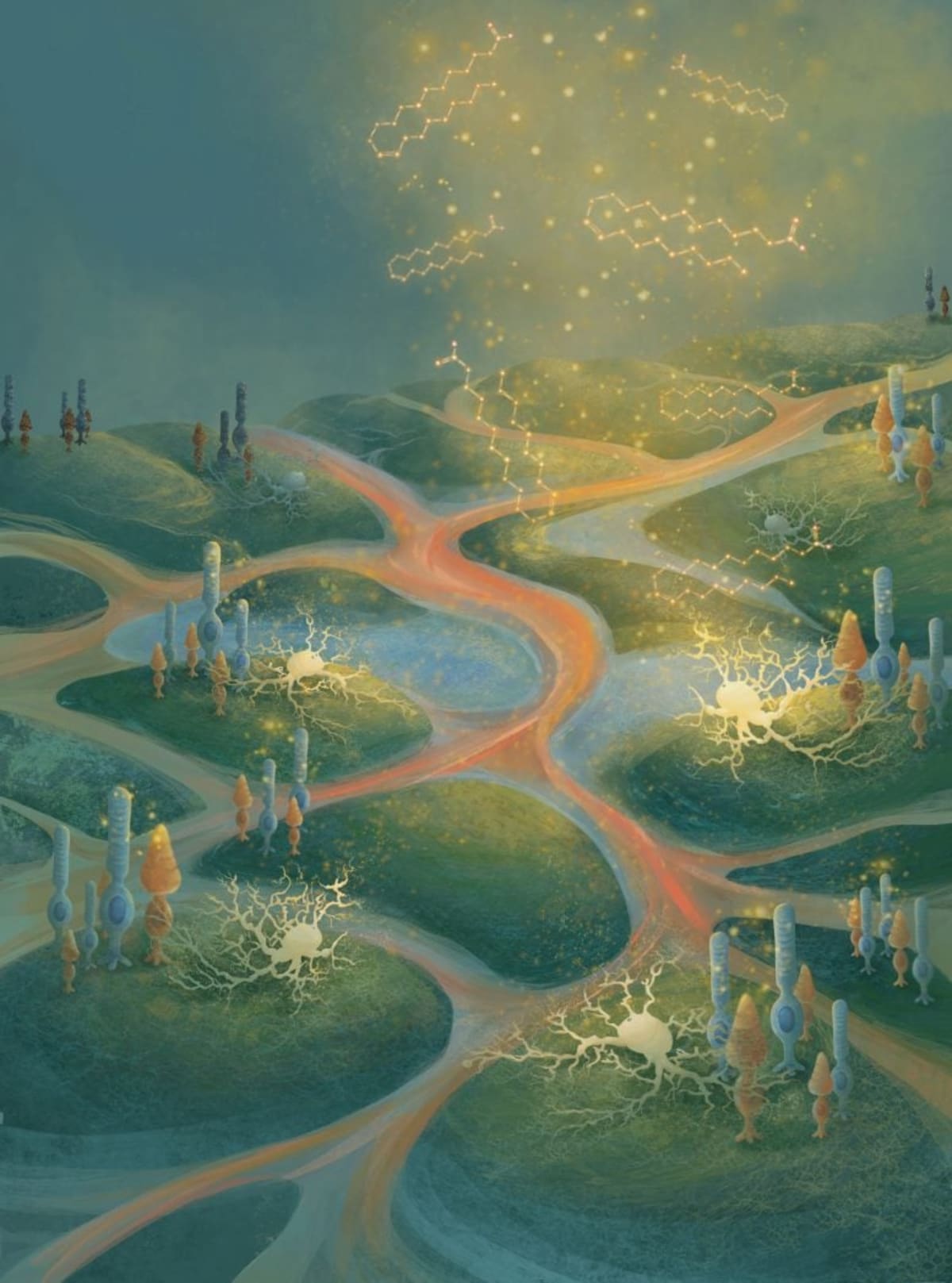 Natural Molecule Shows Promise in Slowing Vision Loss - Image 3