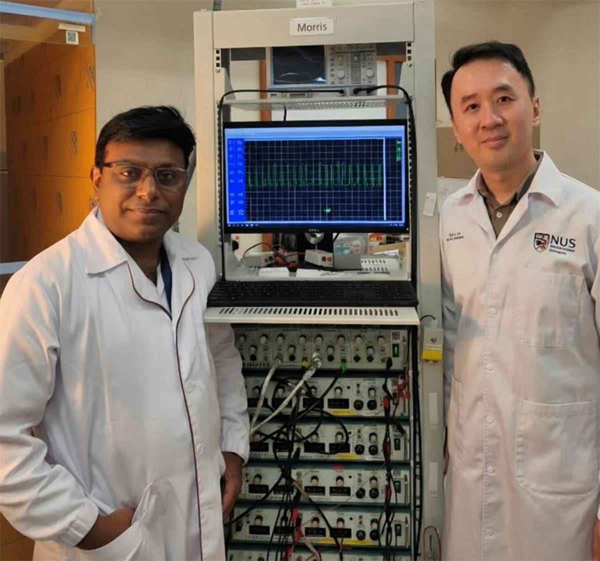 Brain scan showing highlighted hippocampal region where caffeine repairs memory circuits after sleep loss