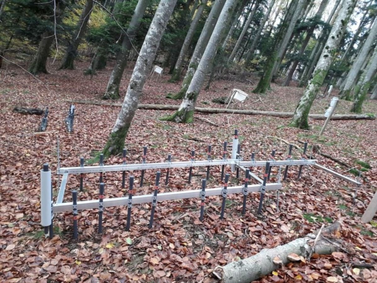 German Forests Absorb More Methane as Climate Warms - Image 4