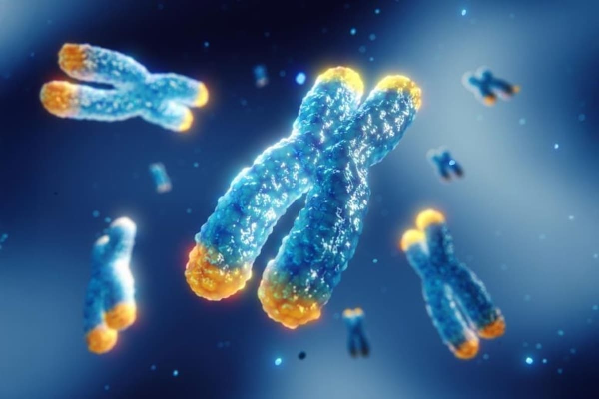 Scientists Crack Melanoma's Immortality Code - Image 4