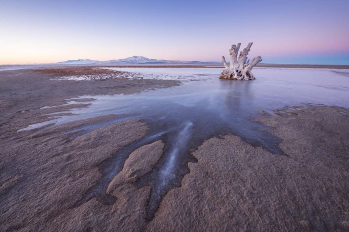 New Worm Species Found in Great Salt Lake - Image 2