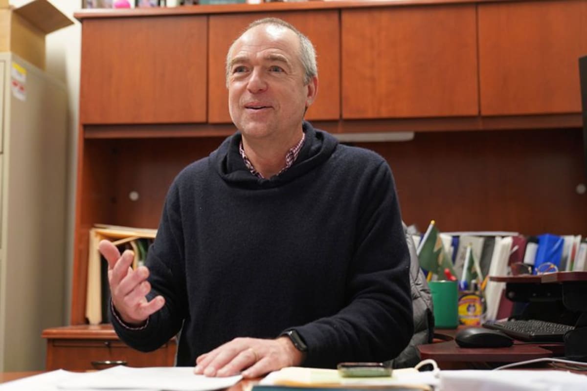 Plants Can Count to Three Without Brains, Study Finds - Image 3