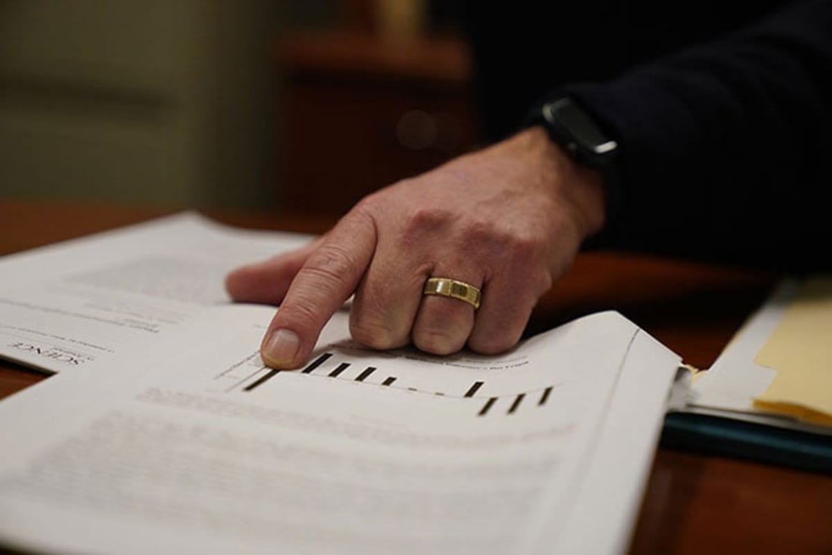 Plants Can Count to Three Without Brains, Study Finds - Image 4