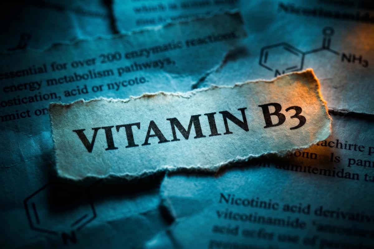 Laboratory mice in research setting showing healthy vitamin B3 treated specimens at Gladstone Institutes