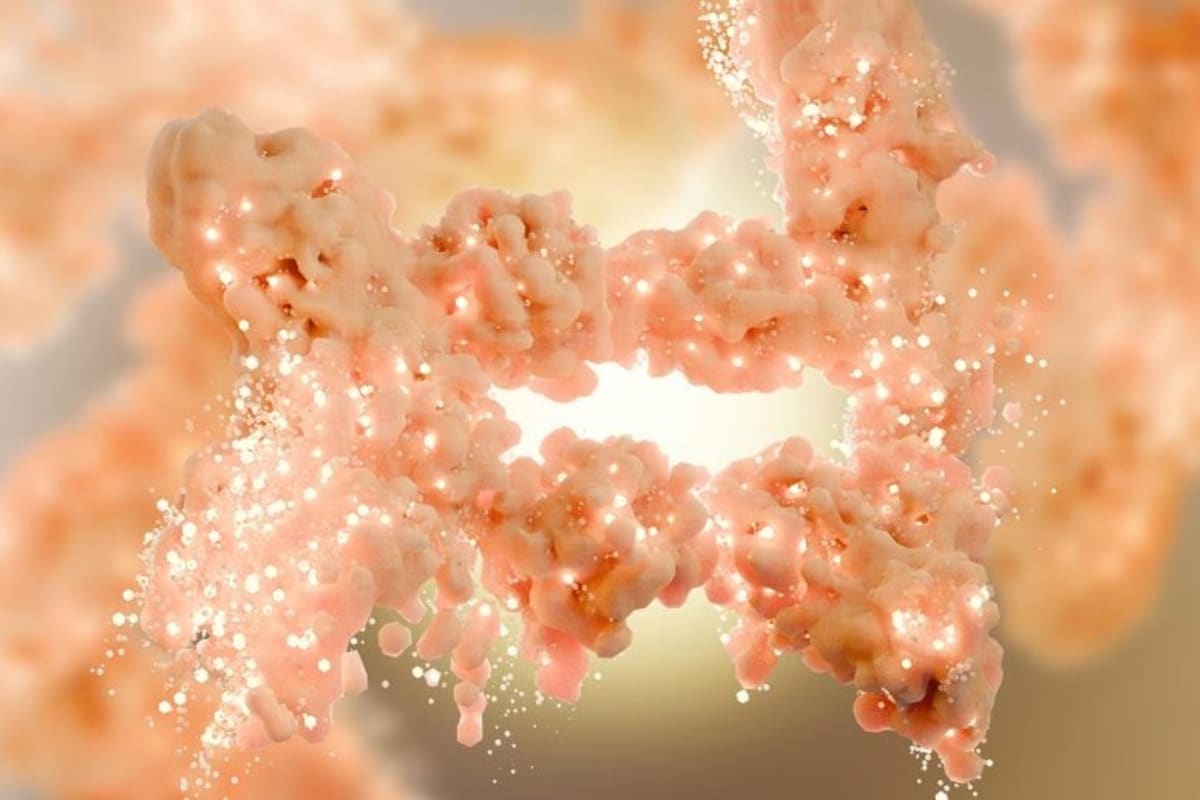 Scientists Find Protein That Supercharges Calorie-Burning Fat - Image 2