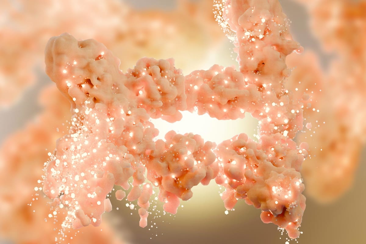 Scientists Find Protein That Supercharges Calorie-Burning Fat