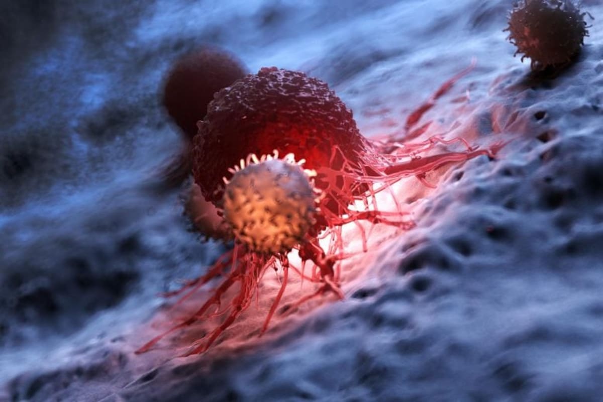 Scientists Find "Off Switch" to Boost Cancer-Fighting Cells - Image 2