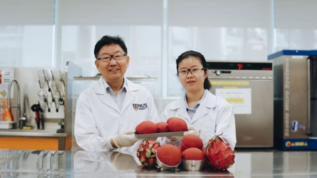 Scientists holding loaves of bread fortified with purified red dragon fruit peel extract