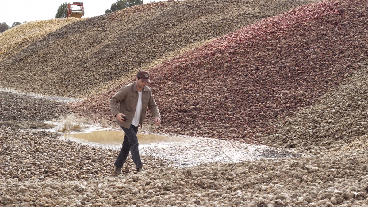 Santa Monica Nonprofit Wins $50K Prize Rescuing Food - Image 2
