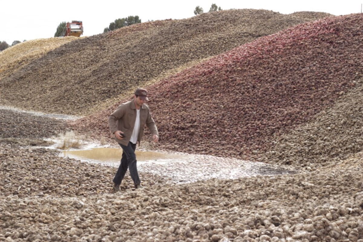 Santa Monica Nonprofit Wins $50K Prize Rescuing Food - Image 3