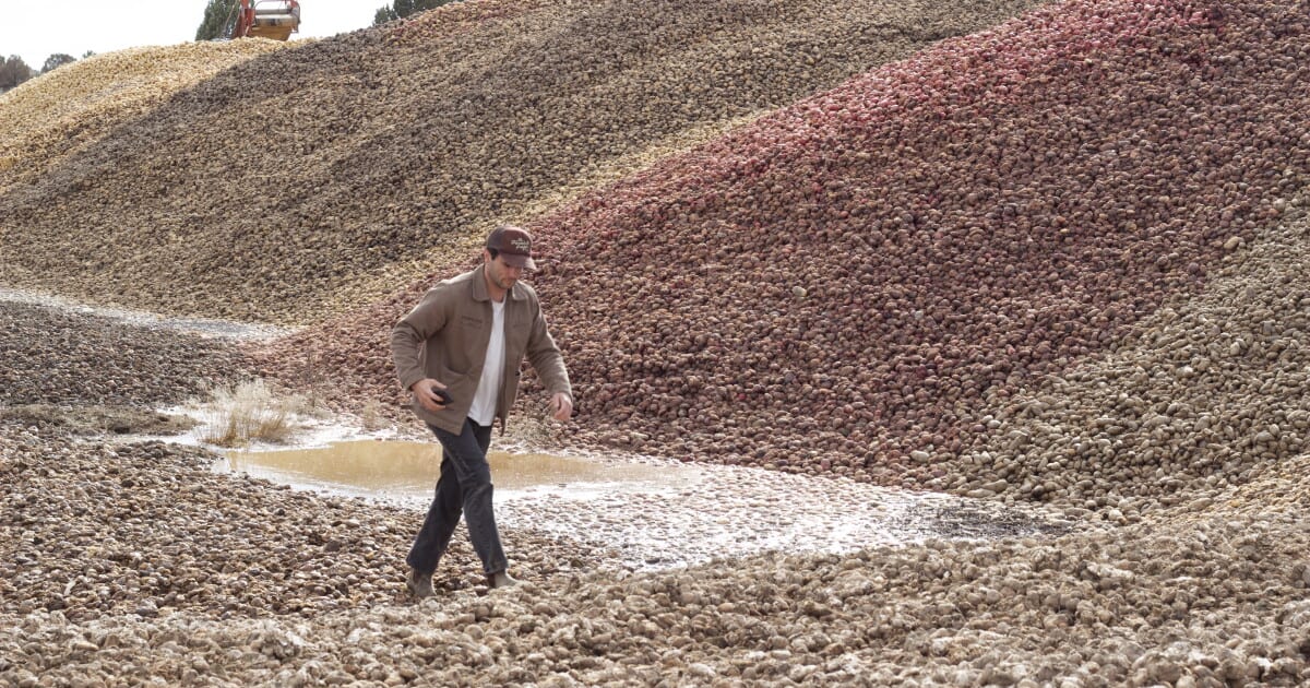 Young man walking through massive pile of rescued potatoes at Idaho farm facility
