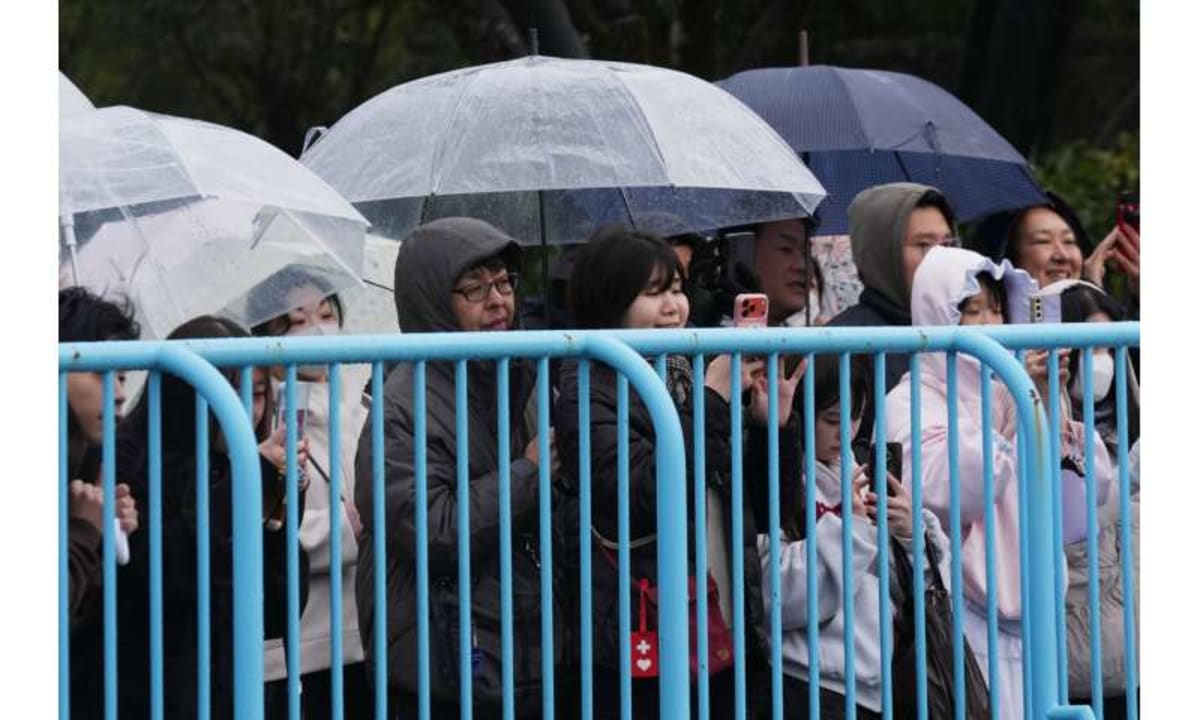 Orphan Macaque Punch Ditches Plushie, Joins Monkey Friends - Image 4