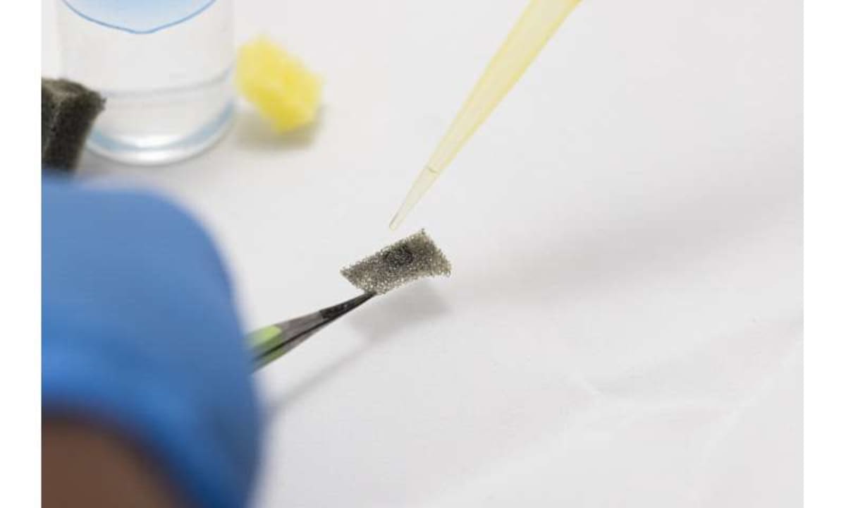 Sneaker-Sized Robot Dolphin Cleans Oil Spills in Minutes - Image 5