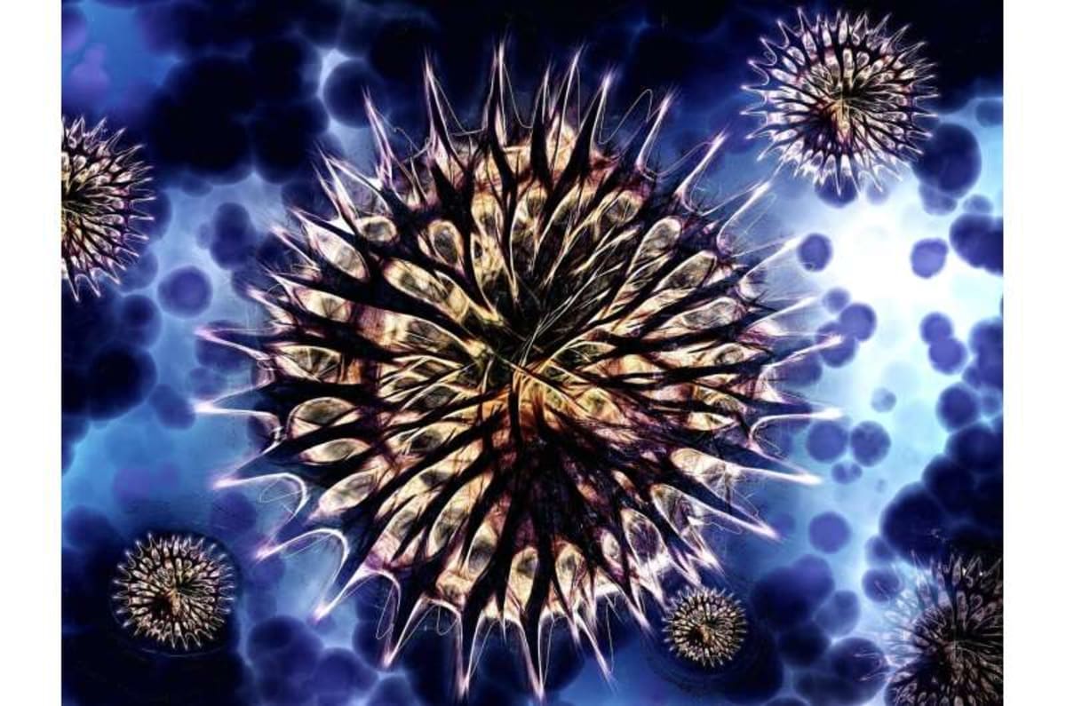 Bacteria Team Up to Eat Toxic Plastics Alone They Can't - Image 3