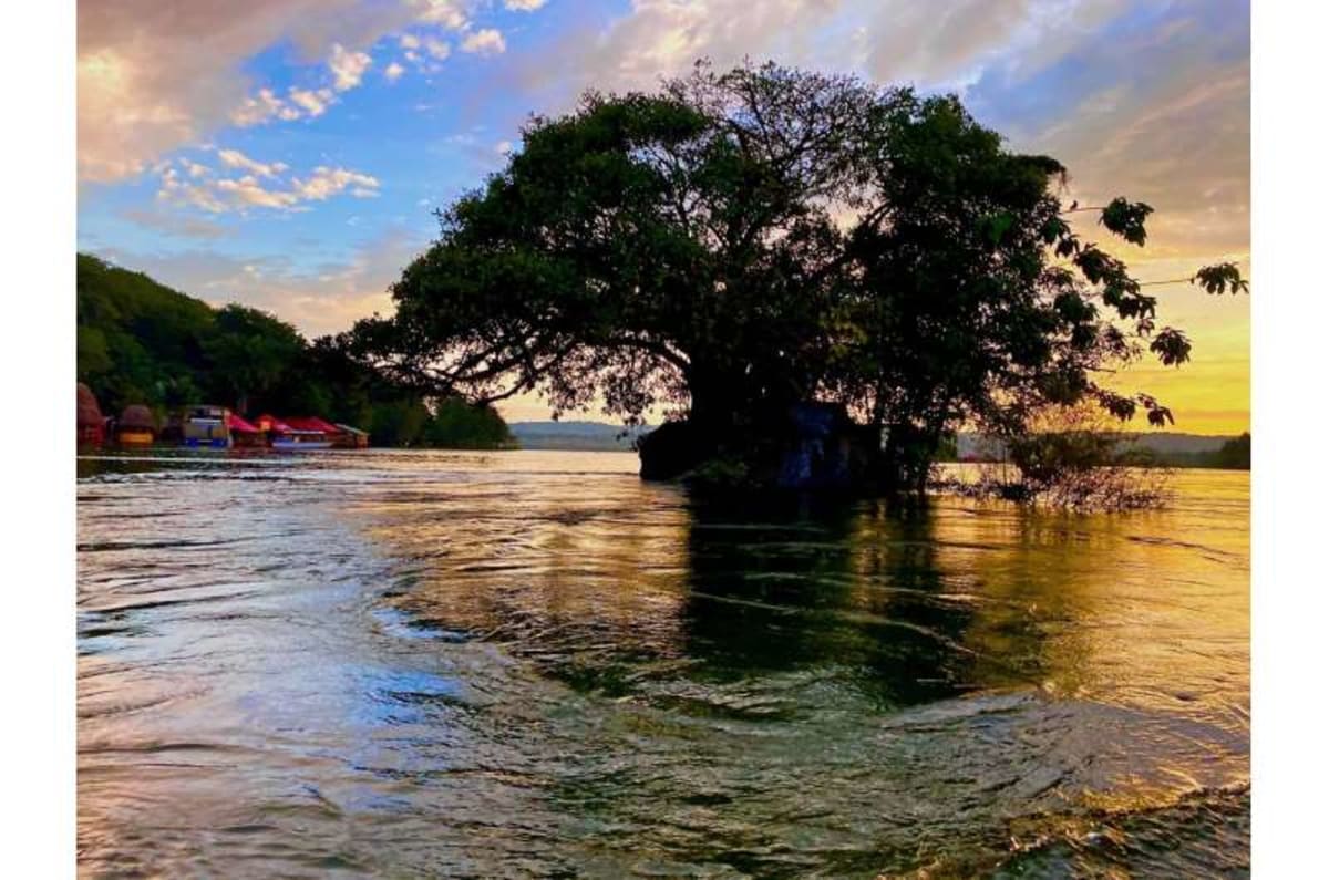 Scientists Map Malaria After Floods to Save Lives - Image 3