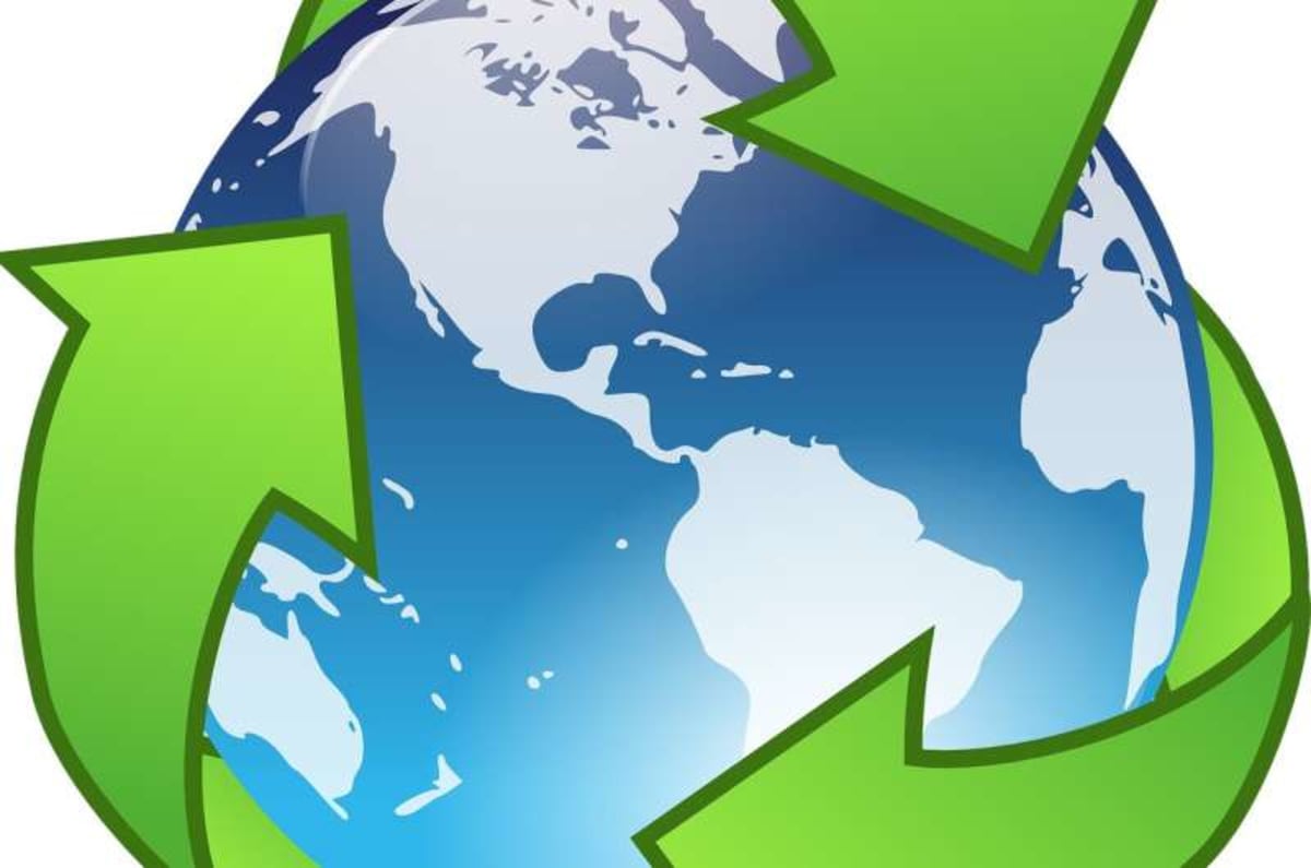 Recycling Soars 61% With Less Frequent Trash Pickup - Image 3