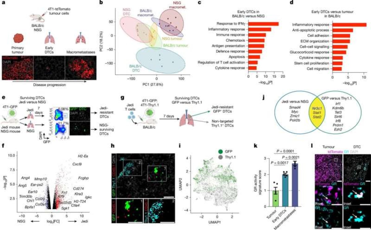 FDA-Approved Drug May Block Breast Cancer Spread - Image 3