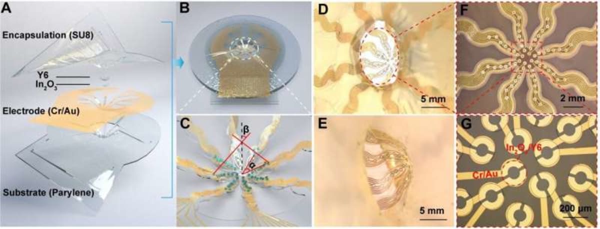 Robot Eye Mimics Nature to See in Extreme Light - Image 4