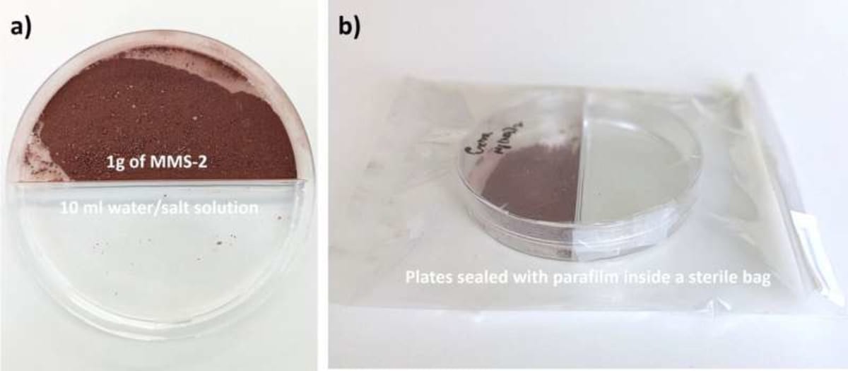 Scientists Grow Chickpeas in Moon Soil Simulant - Image 4