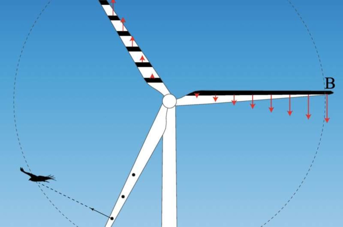 Striped Wind Turbines Could Save Millions of Birds - Image 3