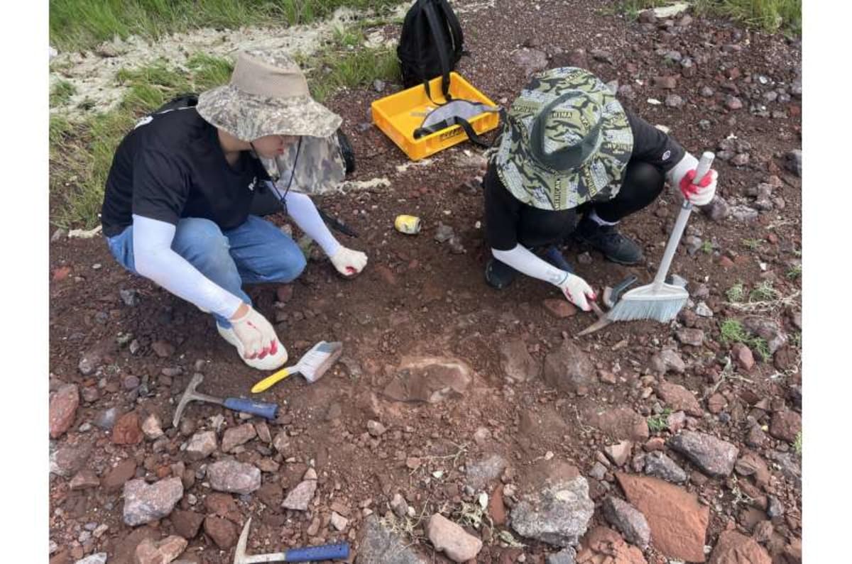 Baby Dinosaur Named After Beloved Korean Cartoon Character - Image 4