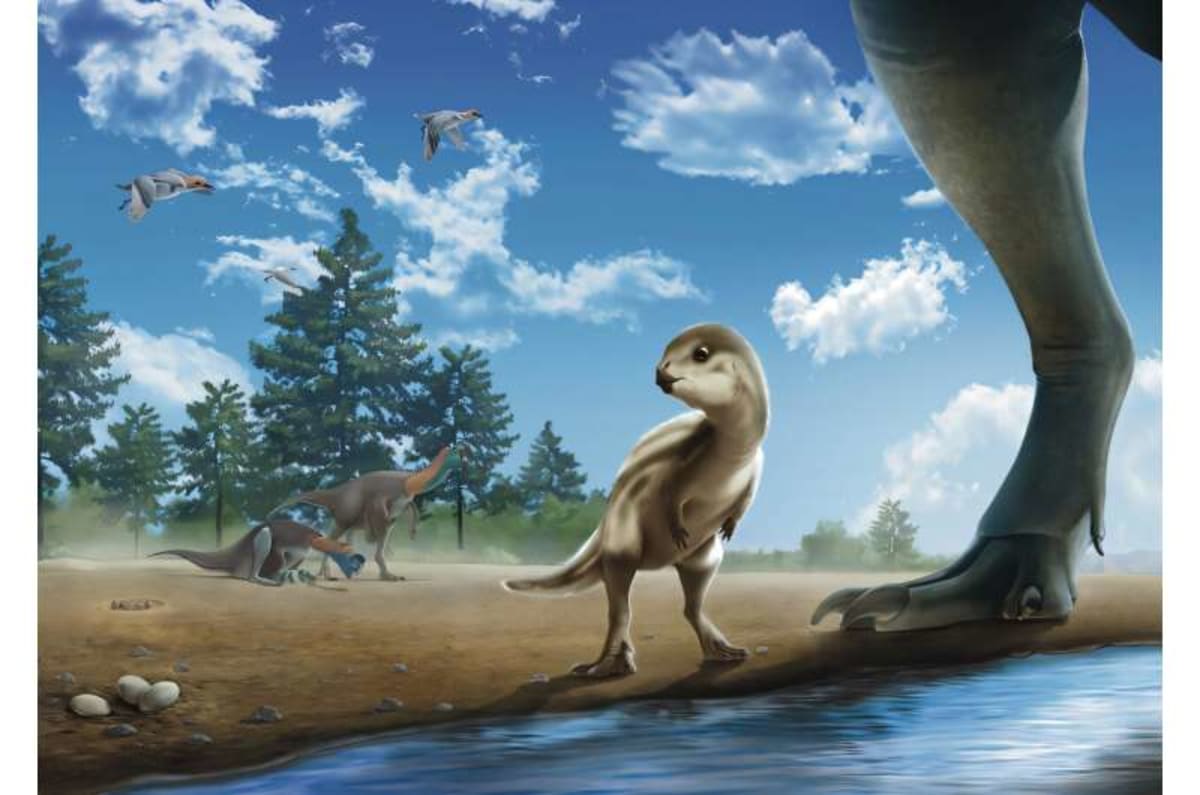 Baby Dinosaur Named After Beloved Korean Cartoon Character - Image 5