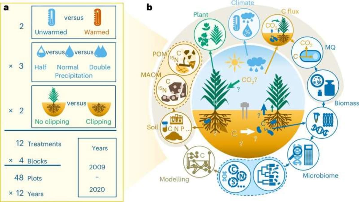 Wet Soil Could Be Our Secret Weapon Against Climate Change - Image 3