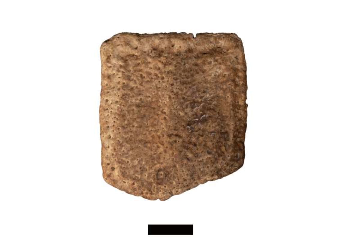 Texas Cave Reveals 100,000-Year-Old Ice Age Secrets - Image 5