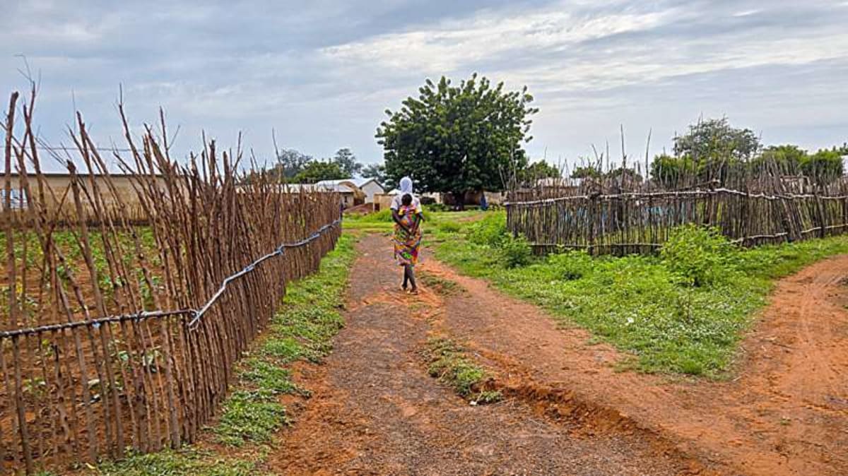 Remote Work Helps Anxious Women in Ghana Join Workforce - Image 2