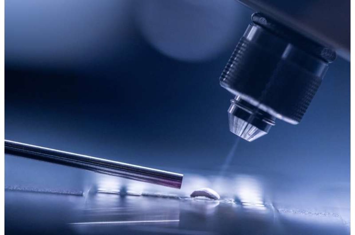 Scientists Create 5-Minute Test for Forever Chemicals - Image 4