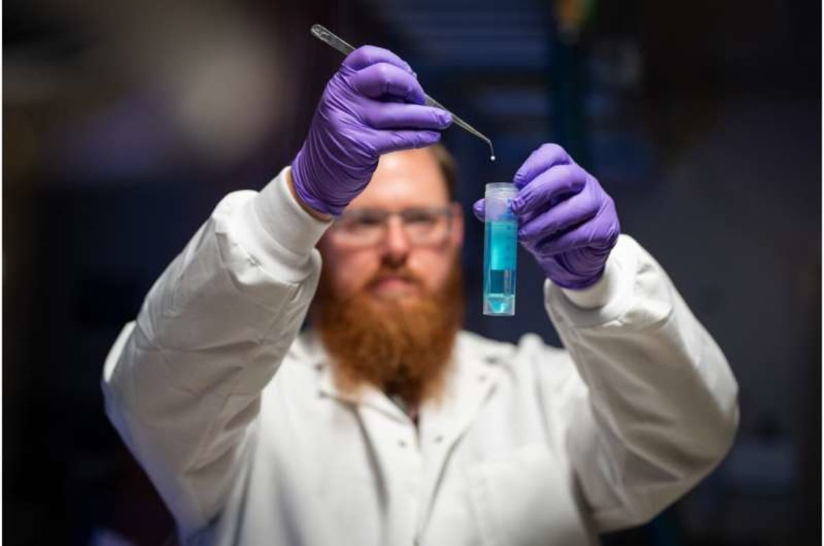 Scientists Create 5-Minute Test for Forever Chemicals - Image 3