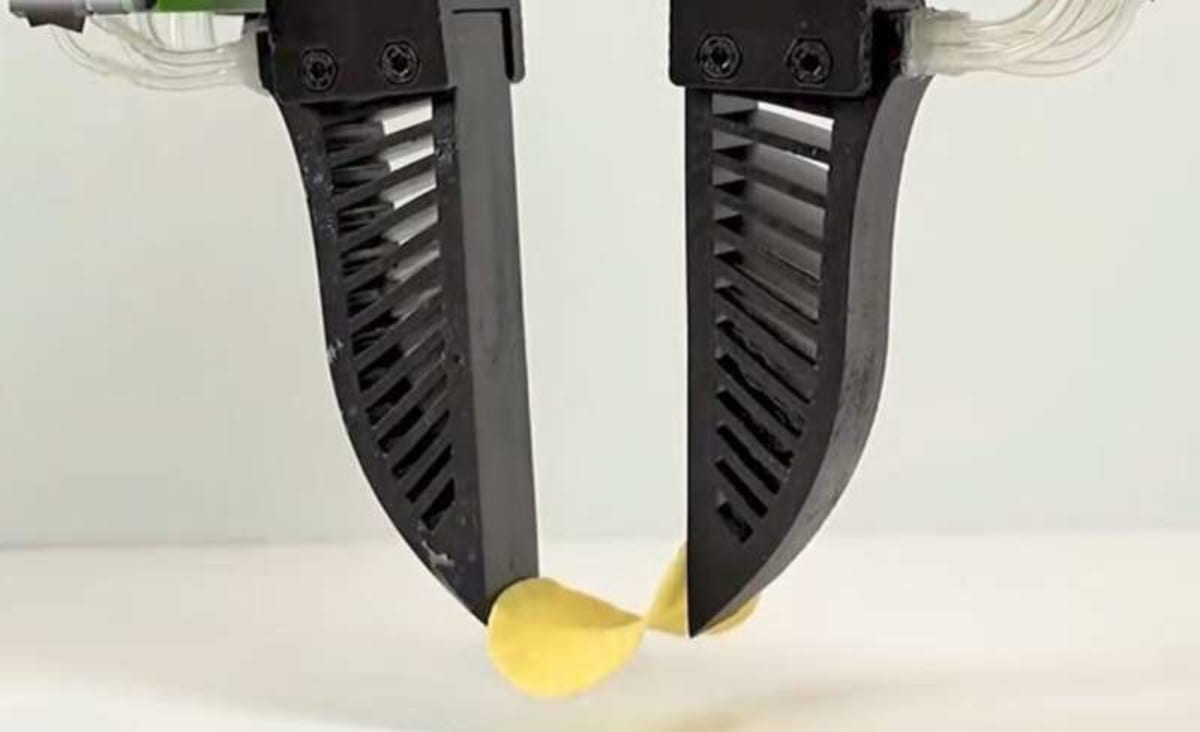 Robot Hand Picks Up Potato Chips Without Breaking Them - Image 3