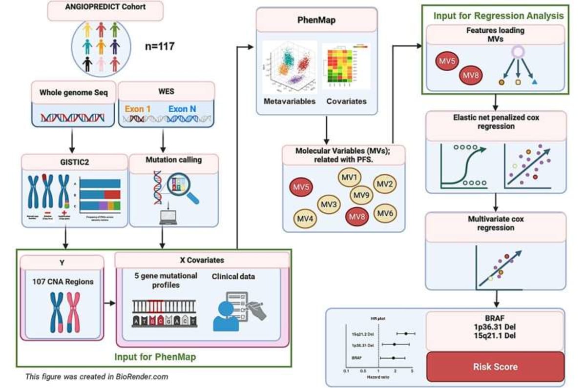 AI Predicts Which Bowel Cancer Patients Benefit From Drug - Image 3