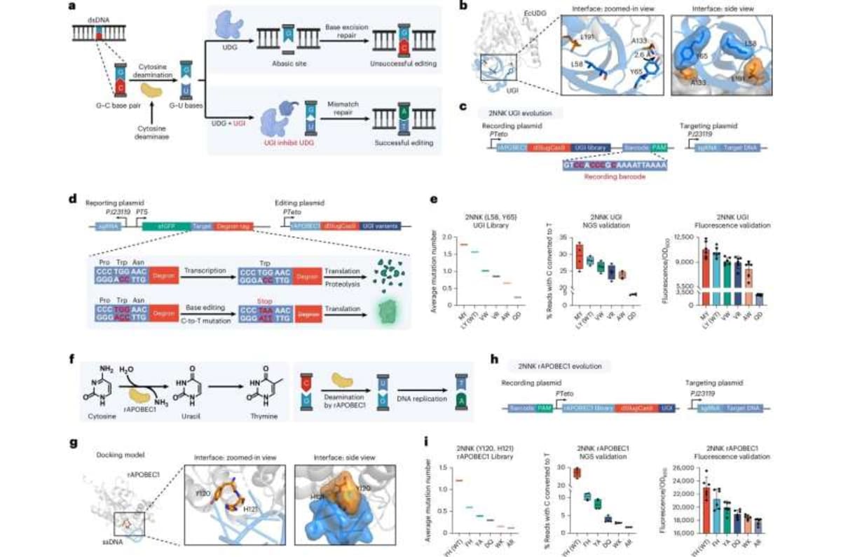 Rice Team Generates 10M Protein Data Points in 3 Days - Image 3