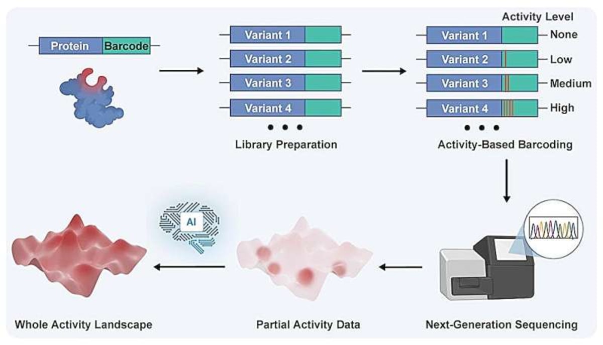 Rice Team Generates 10M Protein Data Points in 3 Days - Image 2
