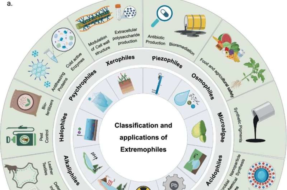 Tiny Microbes That Survive Extremes Now Fighting Climate Change - Image 3