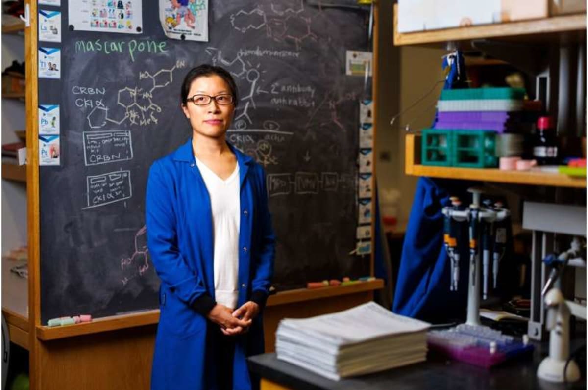 Harvard Team Finds Hidden Switch in Cancer Drug Protein - Image 4