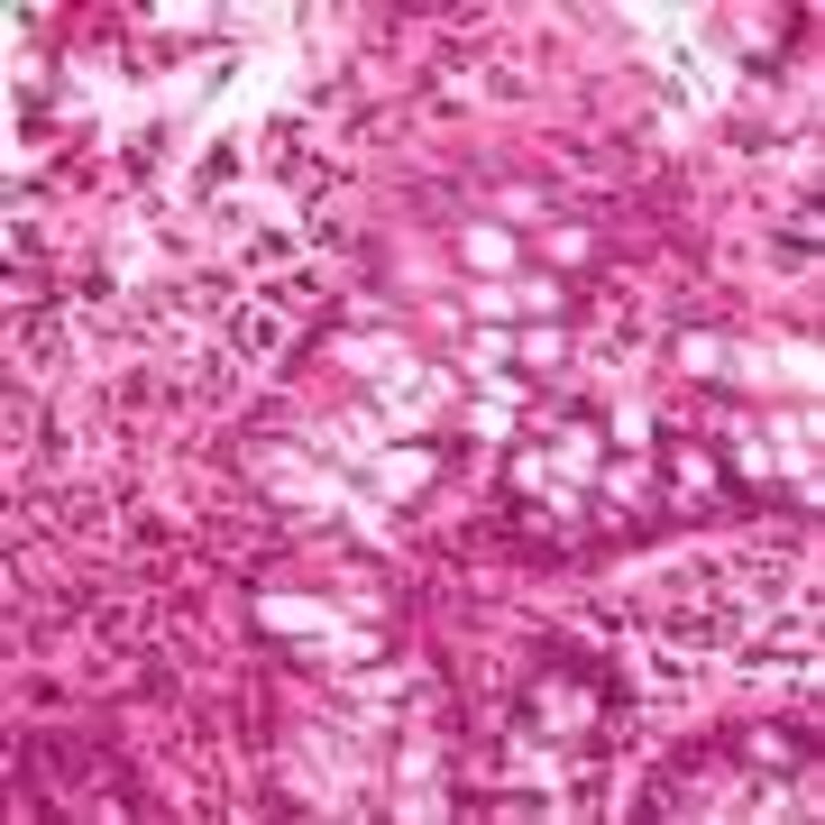 Getting Fitter Makes Every Workout Smarter for Your Brain - Image 5