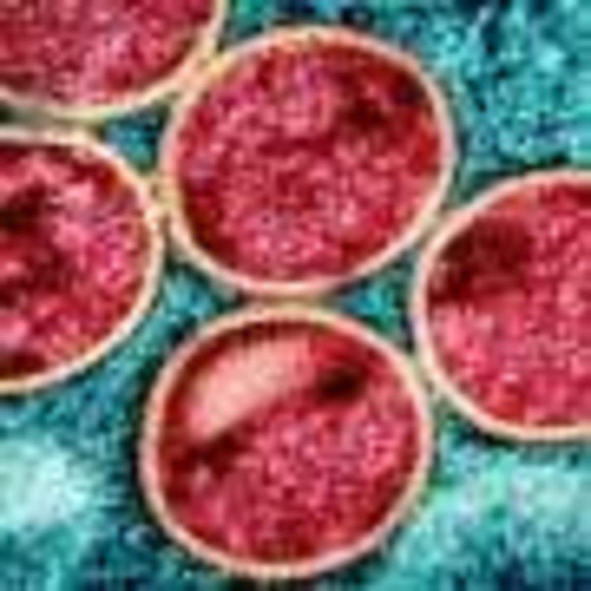 Getting Fitter Makes Every Workout Smarter for Your Brain - Image 4