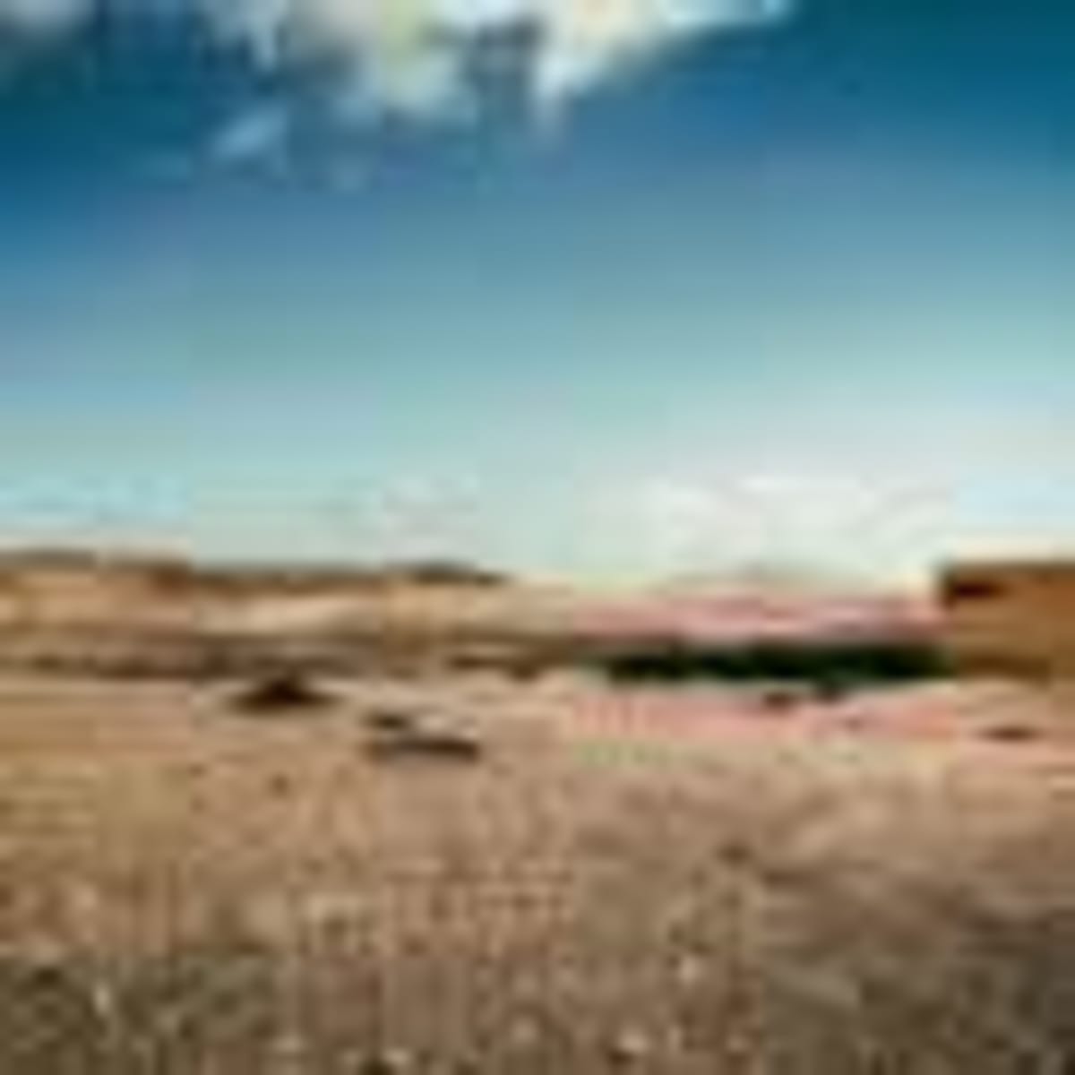 Munich Trees Absorb More CO₂ Than Cars Some Summer Days - Image 5