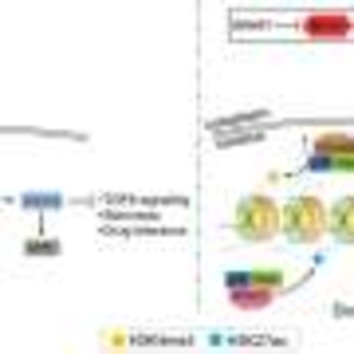 AI Predicts Which Bowel Cancer Patients Benefit From Drug - Image 5
