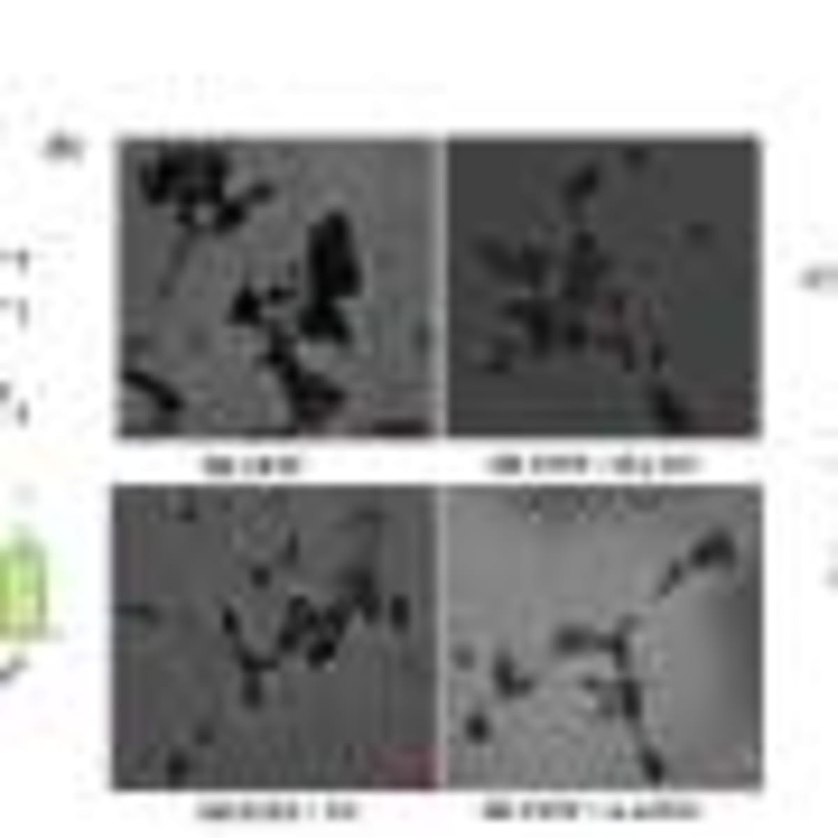 Medicaid Expansion Boosts Addiction Treatment Access - Image 4