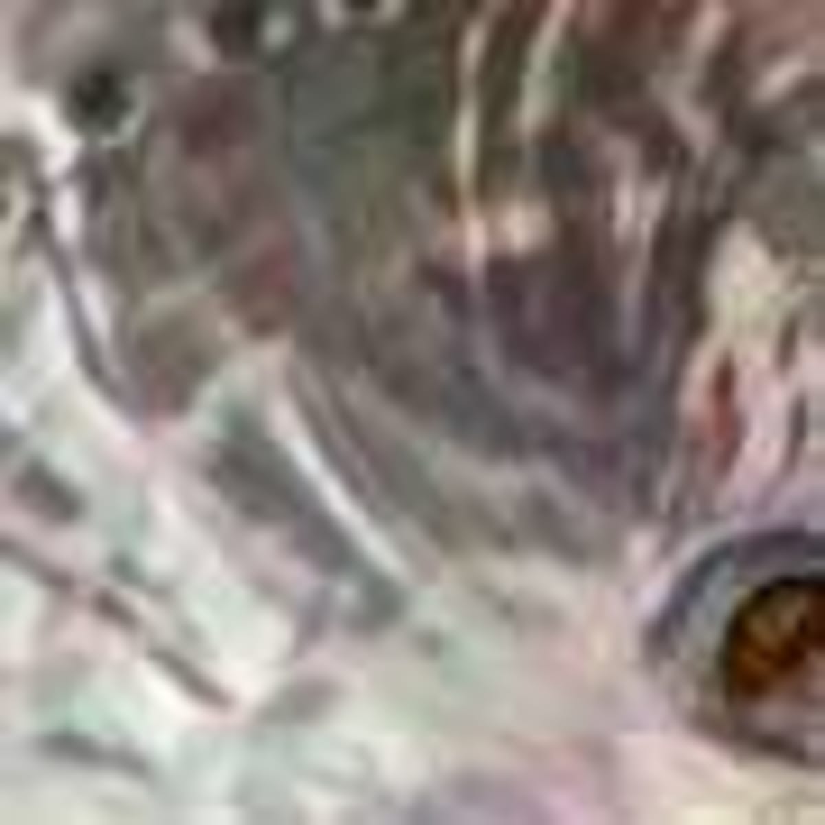 Bacteria Team Up to Eat Toxic Plastics Alone They Can't - Image 4