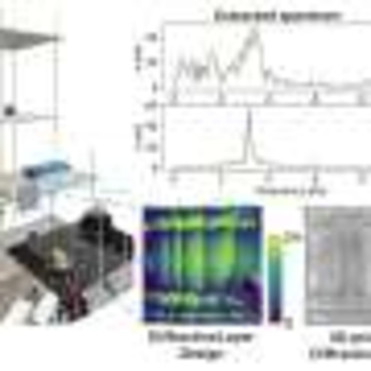 Plant Protein Discovery Opens Door to Cancer Treatment - Image 5