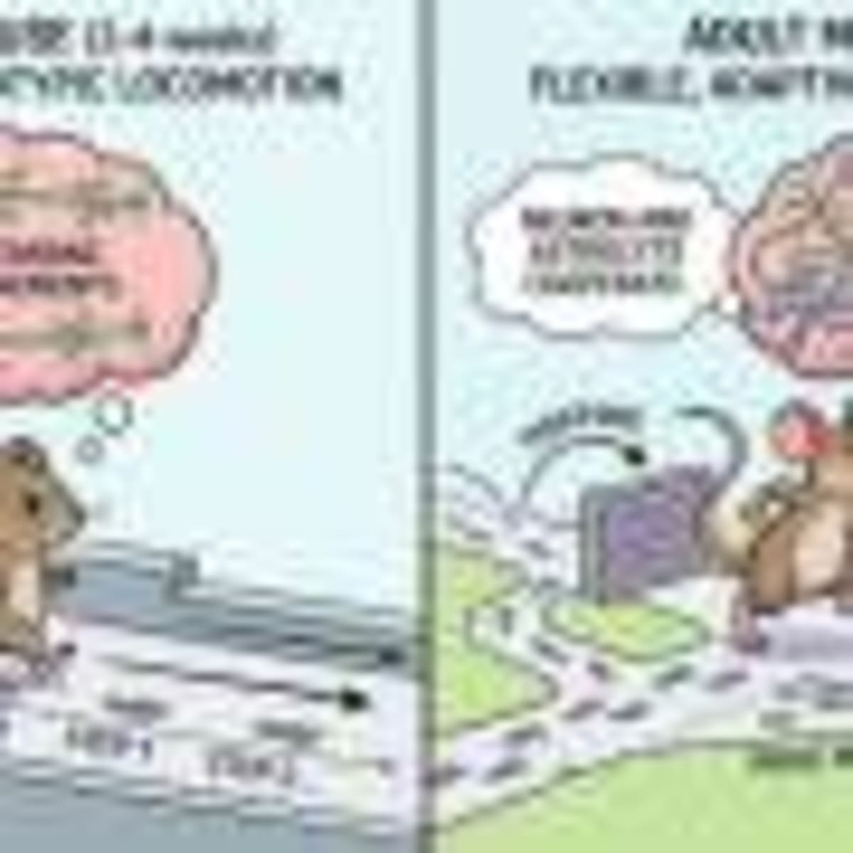 Daily Multivitamin Slows Aging by 4 Months in 2-Year Study - Image 4