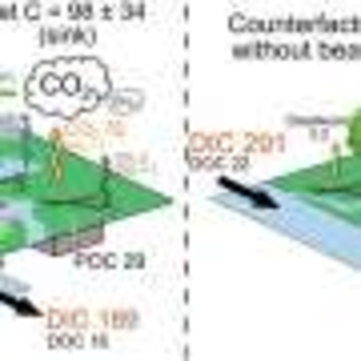 Bacteria Team Up to Eat Toxic Plastics Alone They Can't - Image 5