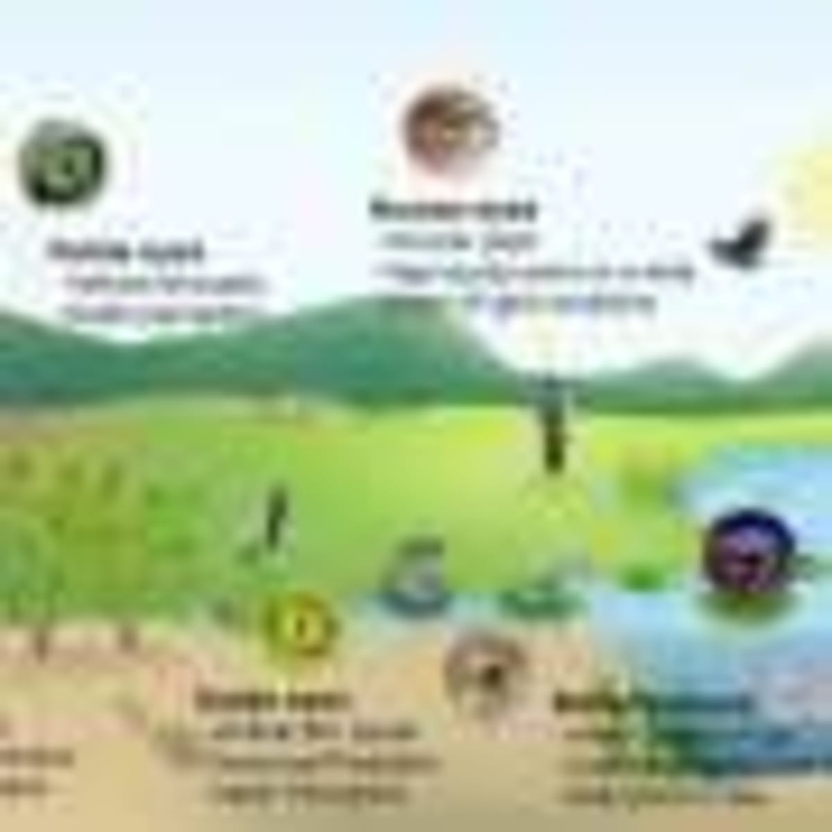 Scientists Create Self-Cleaning Fuel Cells That Fight Sulfur - Image 5