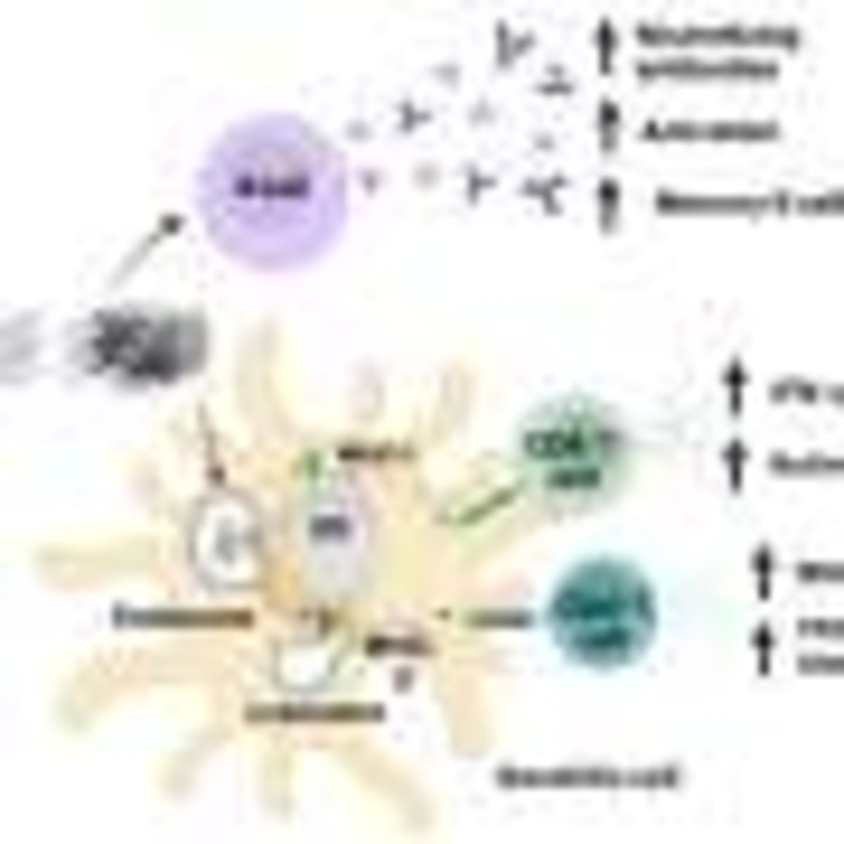 AI Models Show Promise in Predicting Wildfire Spread - Image 4