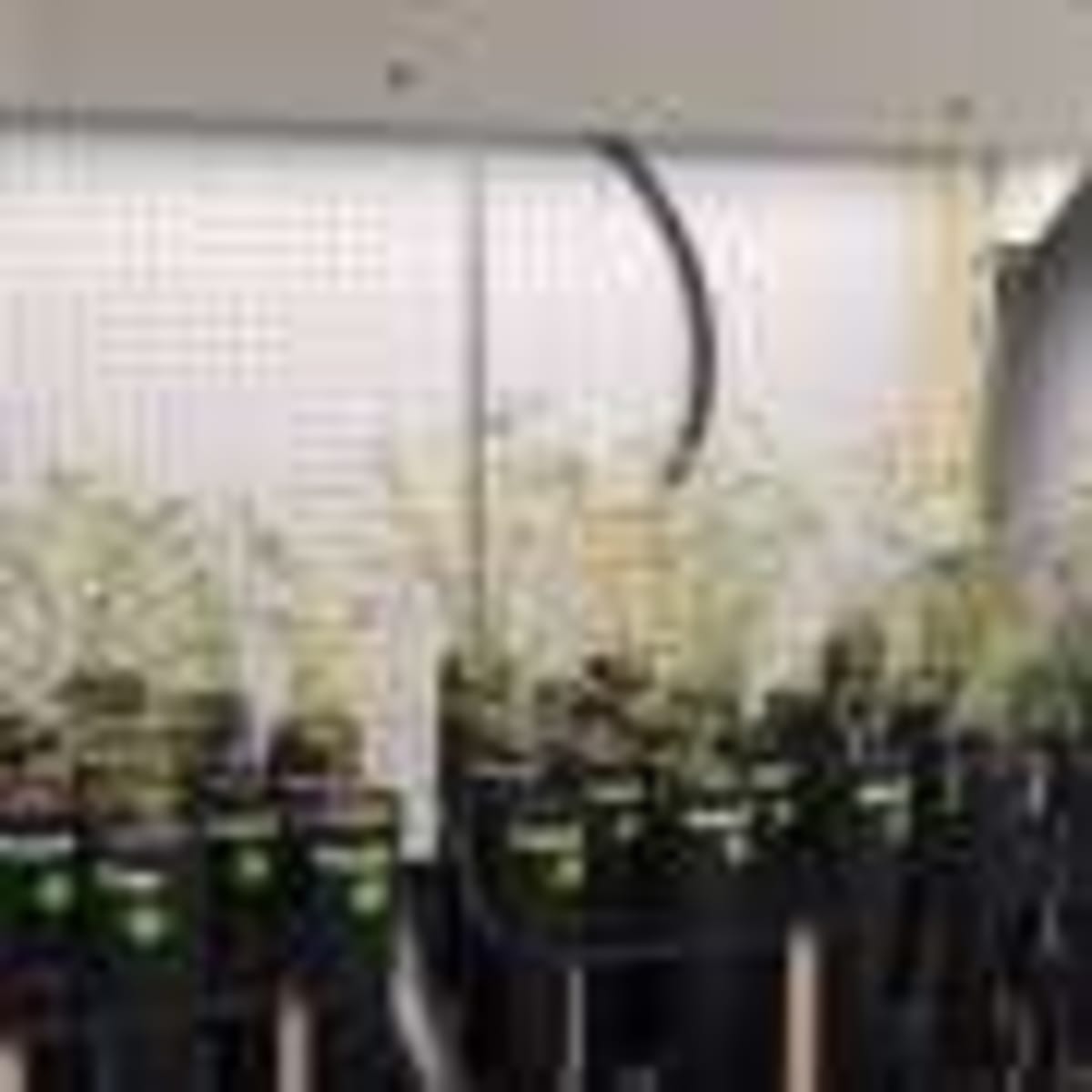 Scientists Push for Fair Mining in Clean Energy Transition - Image 4